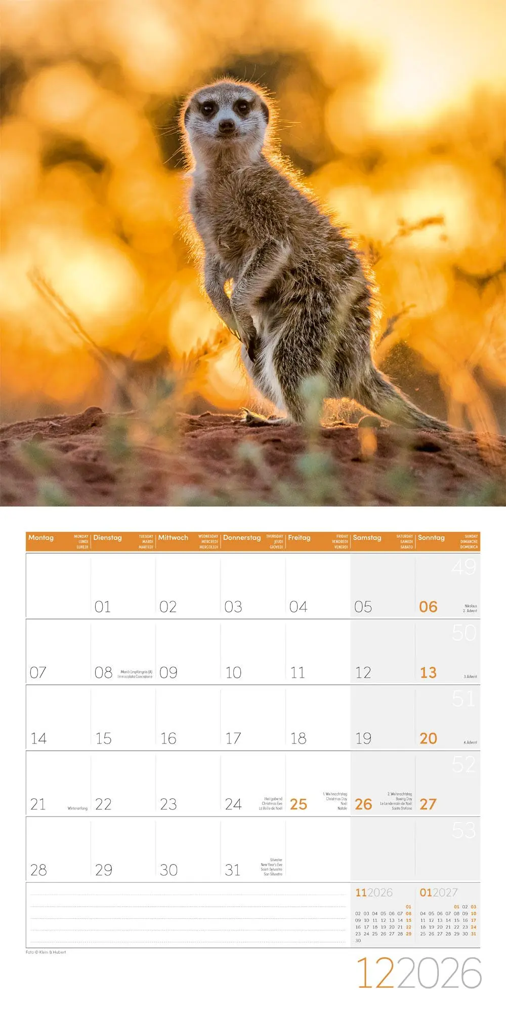 Bild: 9783838446325 | Erdmännchen Broschürenkalender 2026 - 30x30 - Art12 | GmbH | Kalender