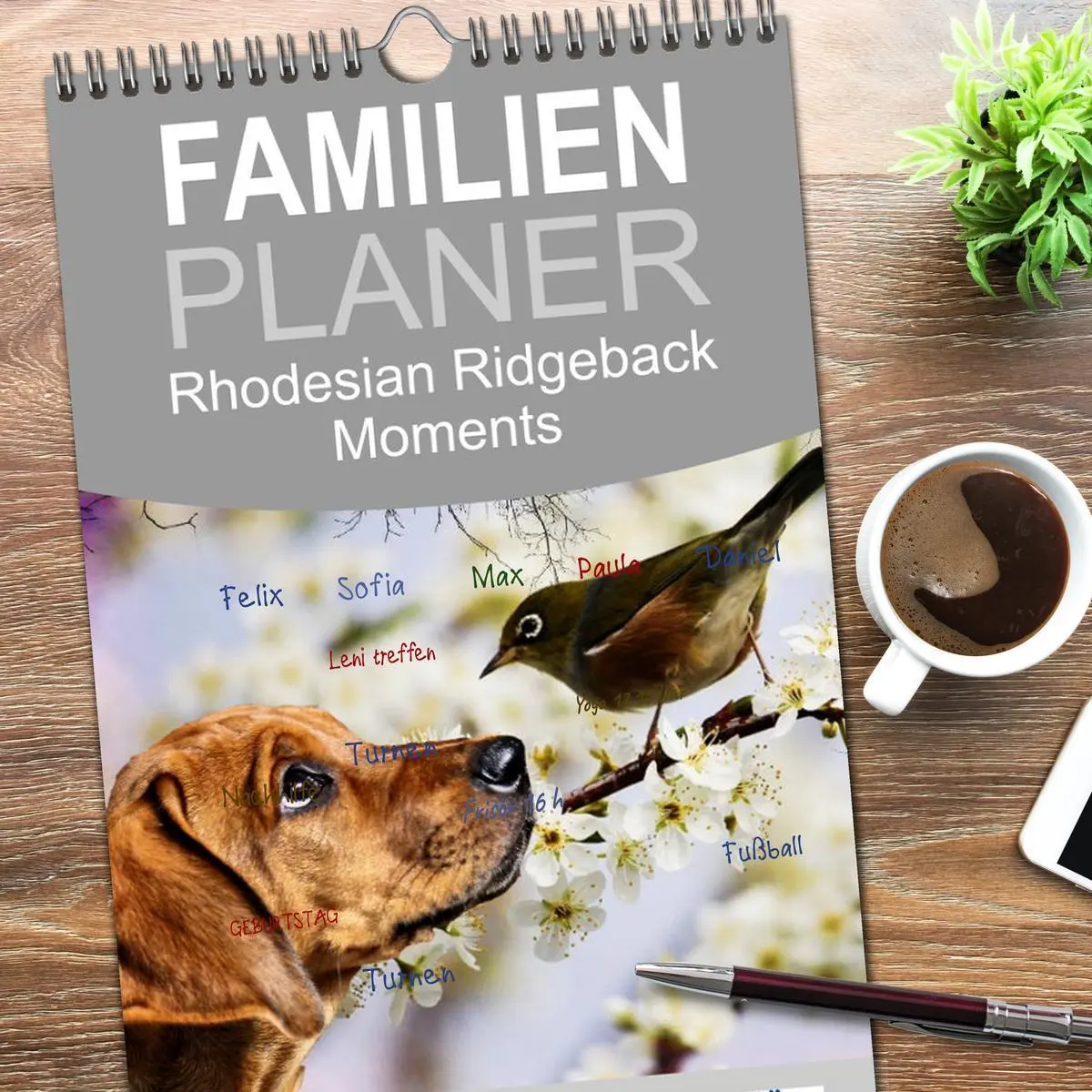 Bild: 9783516516425 | Familienplaner 2026 - Rhodesian Ridgeback - Moments mit 5 Spalten...