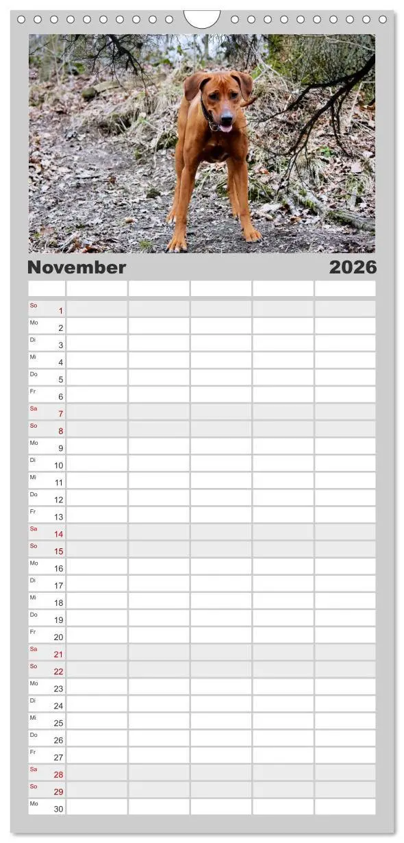 Bild: 9783516516425 | Familienplaner 2026 - Rhodesian Ridgeback - Moments mit 5 Spalten...