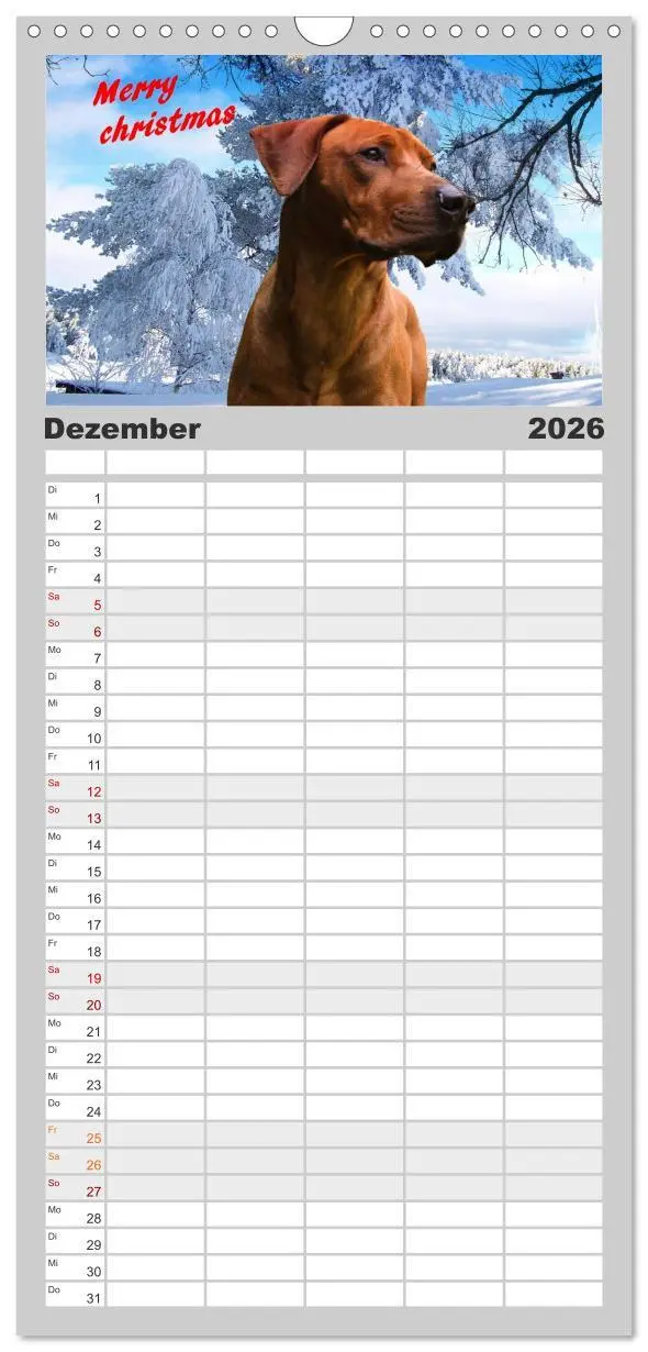 Bild: 9783516516425 | Familienplaner 2026 - Rhodesian Ridgeback - Moments mit 5 Spalten...