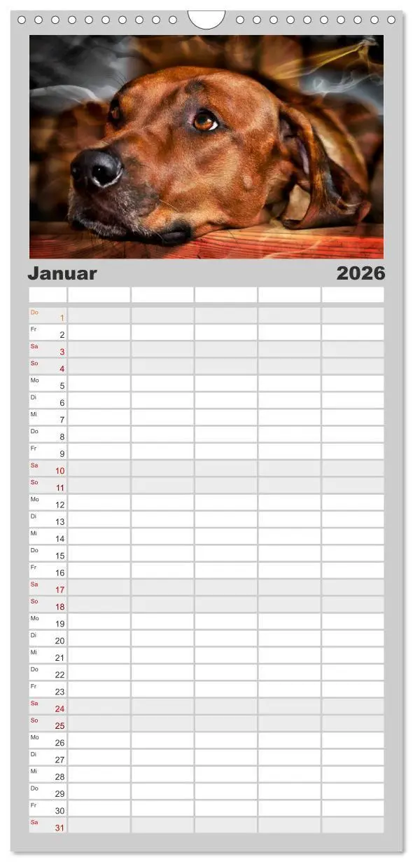Bild: 9783516516425 | Familienplaner 2026 - Rhodesian Ridgeback - Moments mit 5 Spalten...