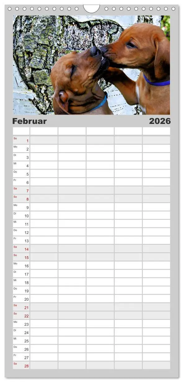 Bild: 9783516516425 | Familienplaner 2026 - Rhodesian Ridgeback - Moments mit 5 Spalten...