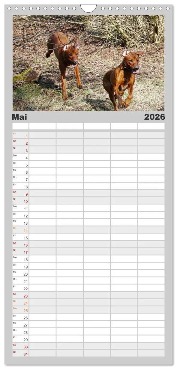 Bild: 9783516516425 | Familienplaner 2026 - Rhodesian Ridgeback - Moments mit 5 Spalten...