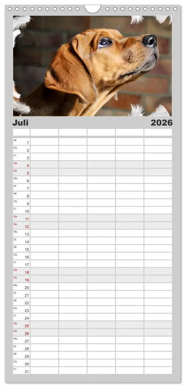 Bild: 9783516516425 | Familienplaner 2026 - Rhodesian Ridgeback - Moments mit 5 Spalten...