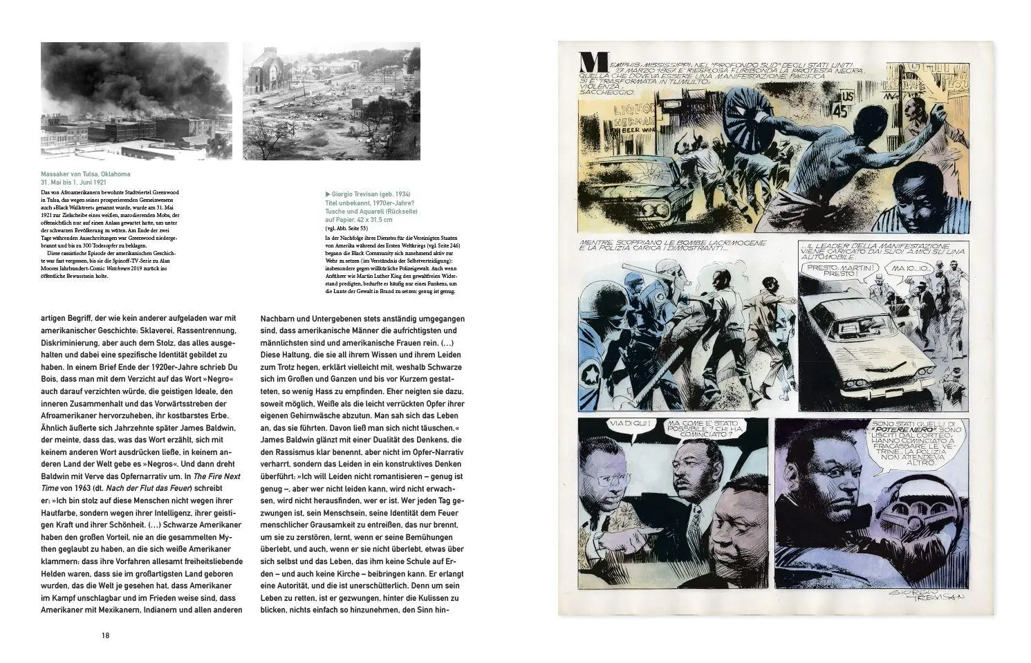 Bild: 9783833246425 | Black Comics | Vom Kolonialismus zum Black Panther | Alexander Braun