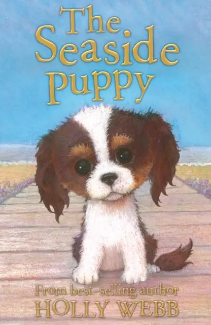 Cover: 9781847156525 | The Seaside Puppy | Holly Webb | Taschenbuch | Kartoniert / Broschiert