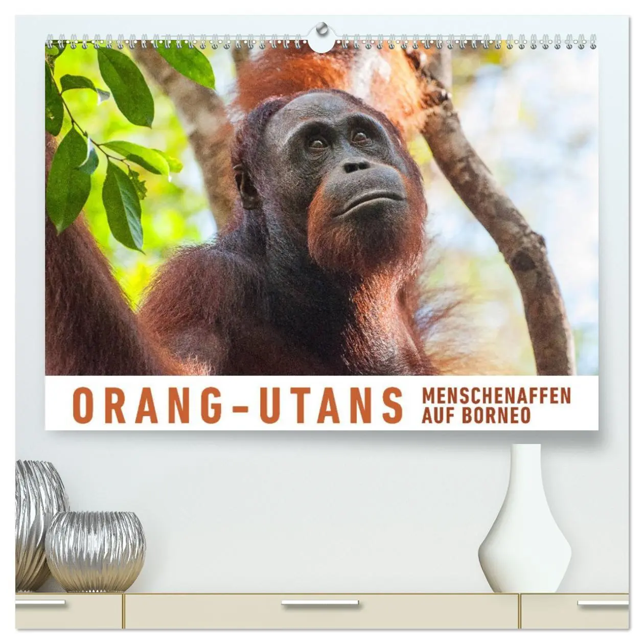 Cover: 9783457726525 | Orang-Utans Menschenaffen auf Borneo (hochwertiger Premium...