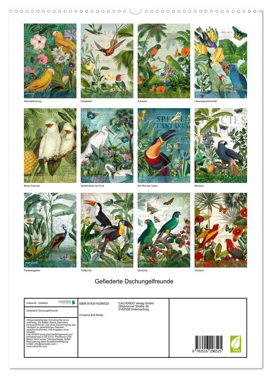 Bild: 9783516296525 | Gefiederte Dschungelfreunde (hochwertiger Premium Wandkalender 2026...