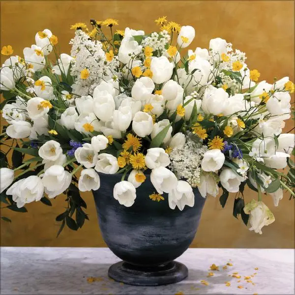 Bild: 9783731886525 | Flowers 2026 | Verlag Korsch | Kalender | 13 S. | Deutsch | 2026