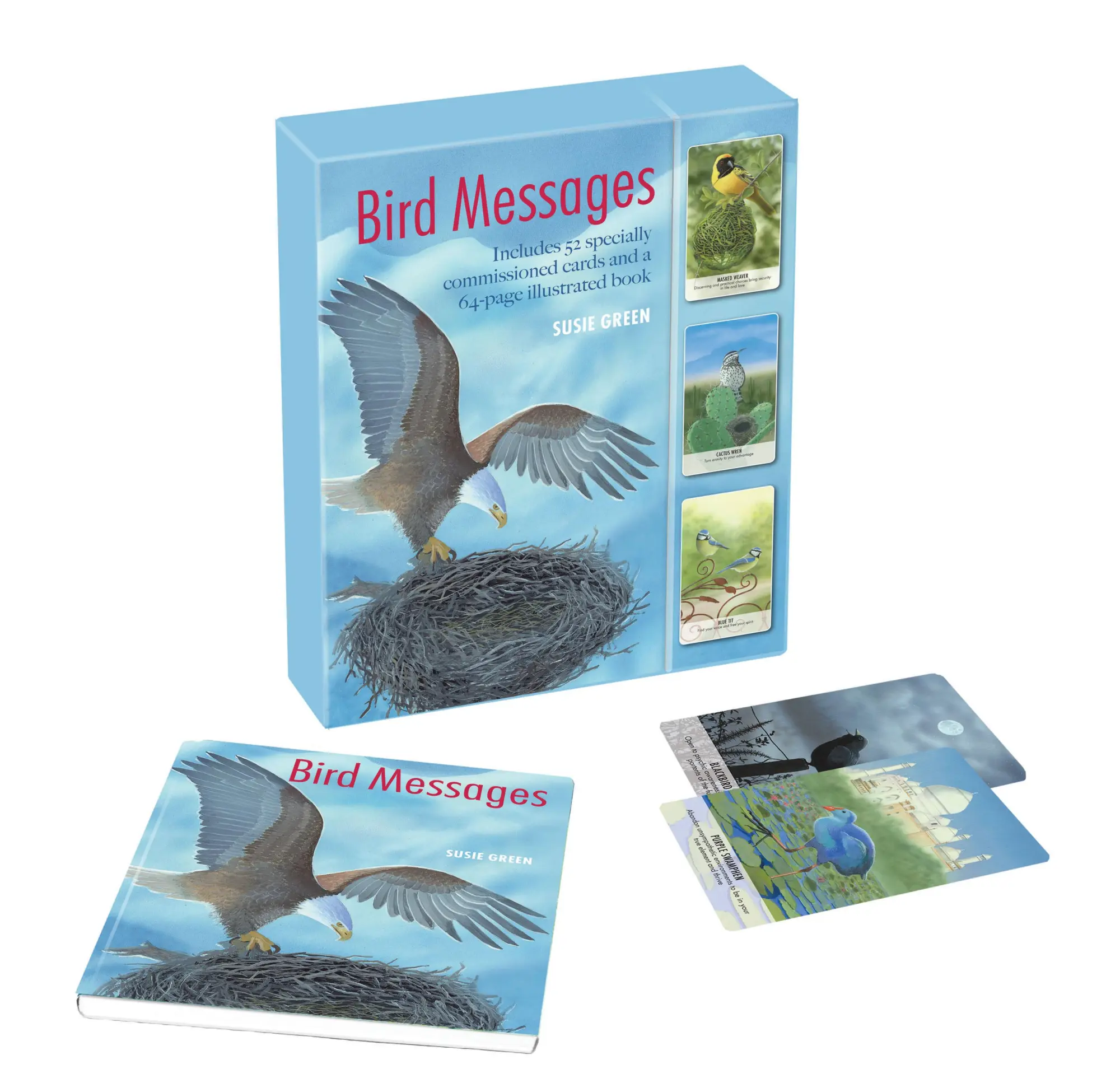 Cover: 9781782496625 | Bird Messages | Susie Green | Taschenbuch | Schachtel | 1 Taschenbuch