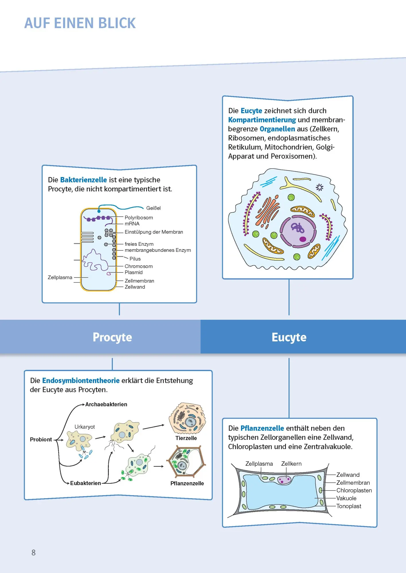 Bild: 9783129496725 | Sicher im Abi Oberstufen-Wissen Biologie | Komplett und ausführlich