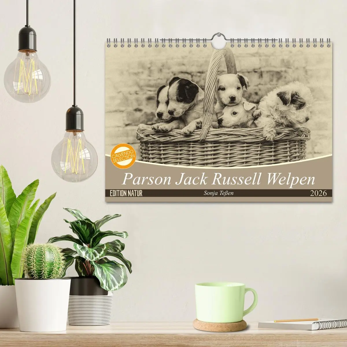 Bild: 9783457876725 | Parson Jack Russel Welpen (Wandkalender 2026 DIN A4 quer), CALVENDO...