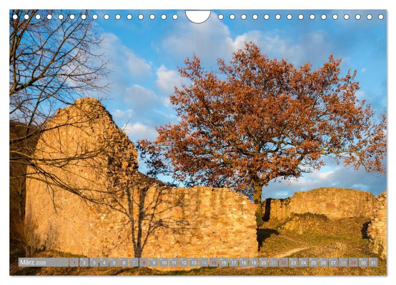Bild: 9783516036725 | Kurpfalz 2026 (Wandkalender 2026 DIN A4 quer), CALVENDO Monatskalender