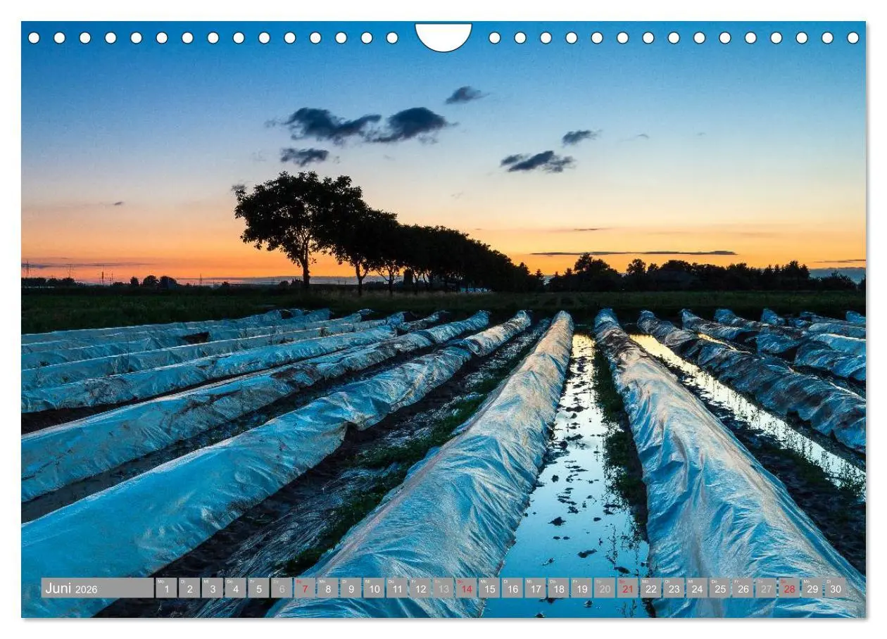 Bild: 9783516036725 | Kurpfalz 2026 (Wandkalender 2026 DIN A4 quer), CALVENDO Monatskalender