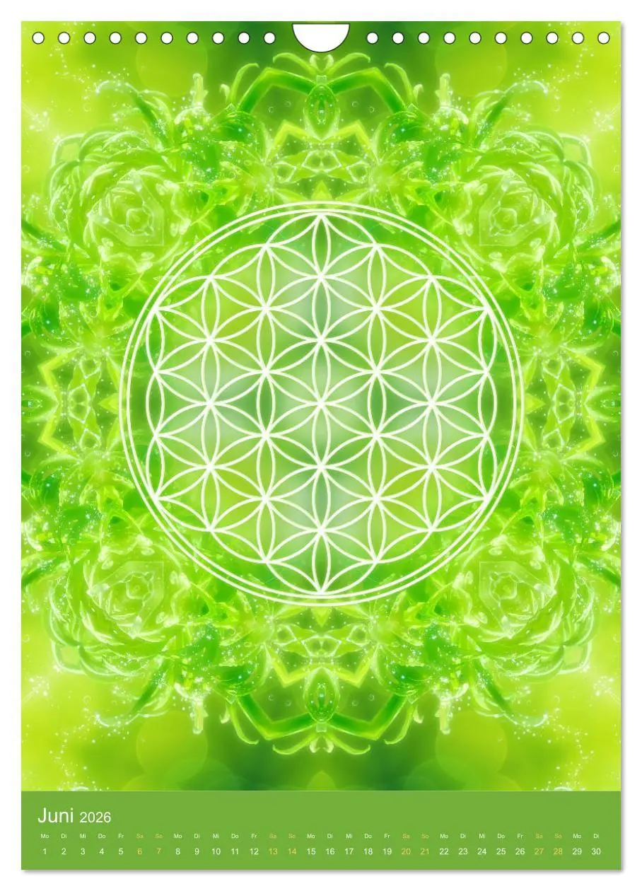 Bild: 9783516416725 | Blume des Lebens - Harmonie durch Symbolkraft (Wandkalender 2026...