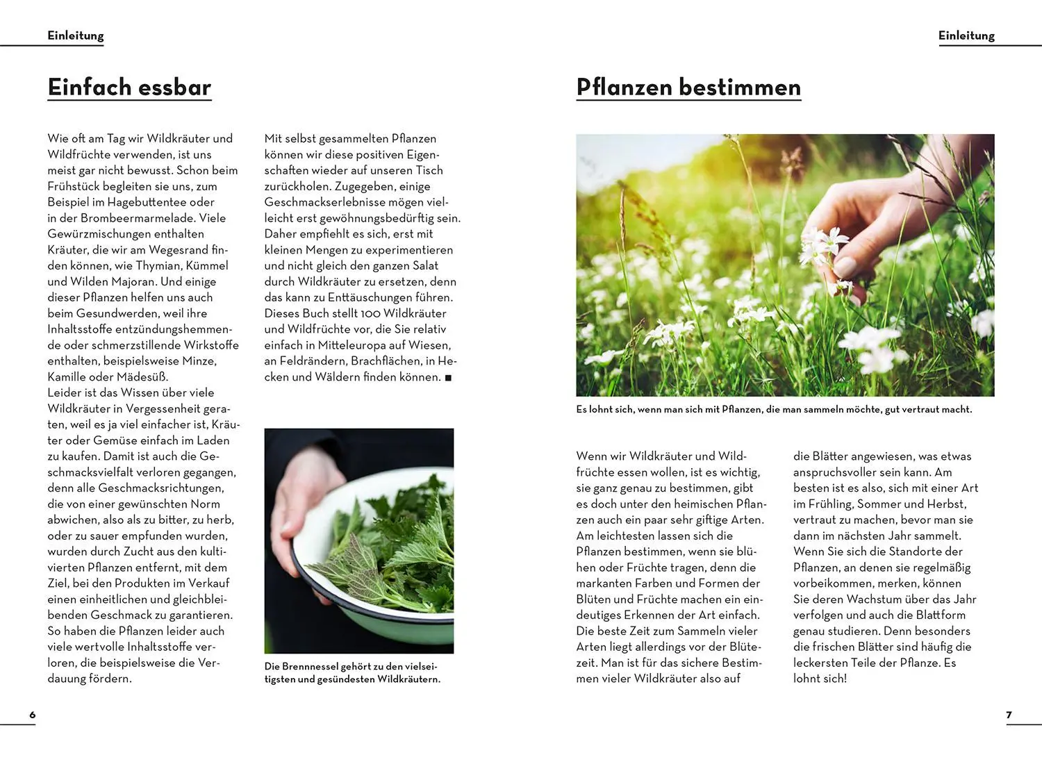Bild: 9783440176825 | Einfach Essbar | 100 wilde Arten leicht erkennen | Holger Haag | Buch