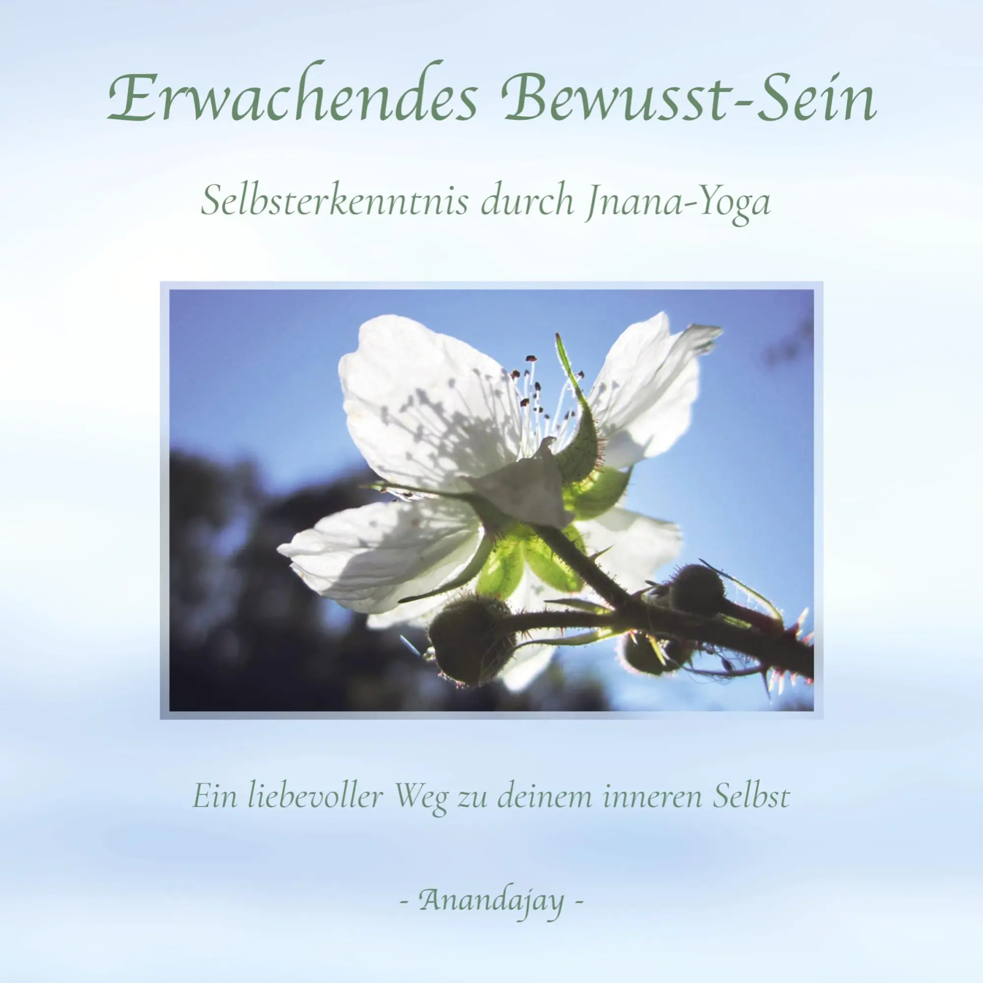 Cover: 9789465016825 | Erwachende Bewusstsein | Anandajay _ | Taschenbuch | Paperback | 2024
