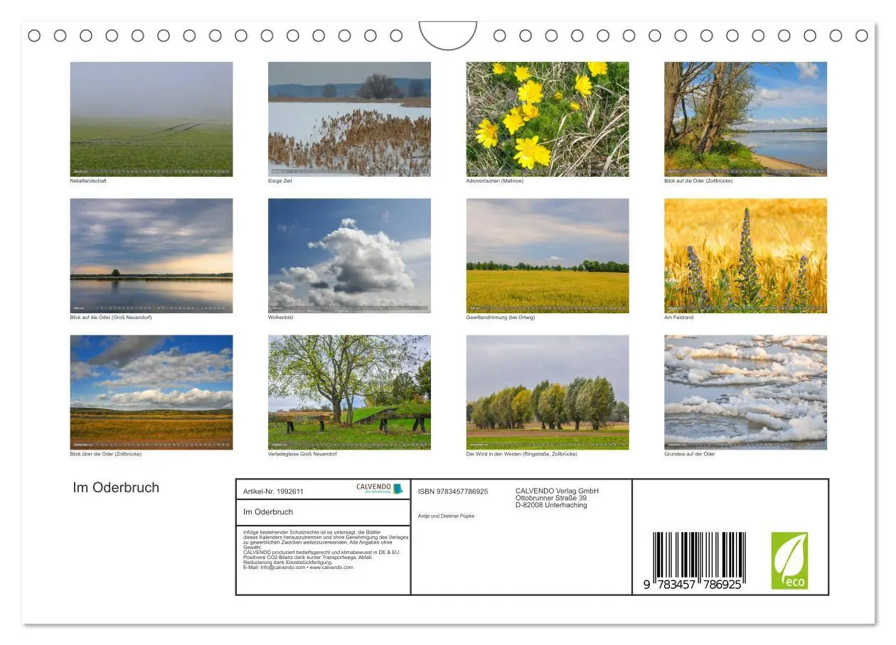 Bild: 9783457786925 | Im Oderbruch (Wandkalender 2026 DIN A4 quer), CALVENDO Monatskalender