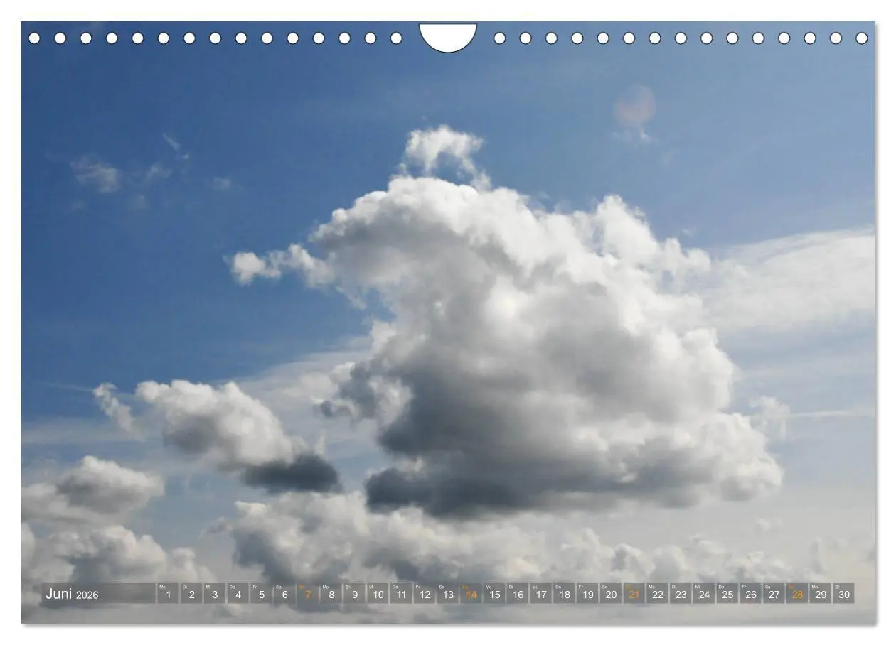 Bild: 9783457786925 | Im Oderbruch (Wandkalender 2026 DIN A4 quer), CALVENDO Monatskalender