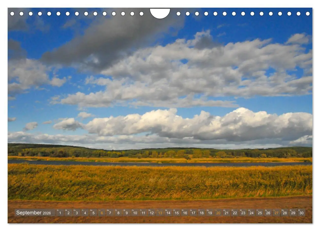 Bild: 9783457786925 | Im Oderbruch (Wandkalender 2026 DIN A4 quer), CALVENDO Monatskalender