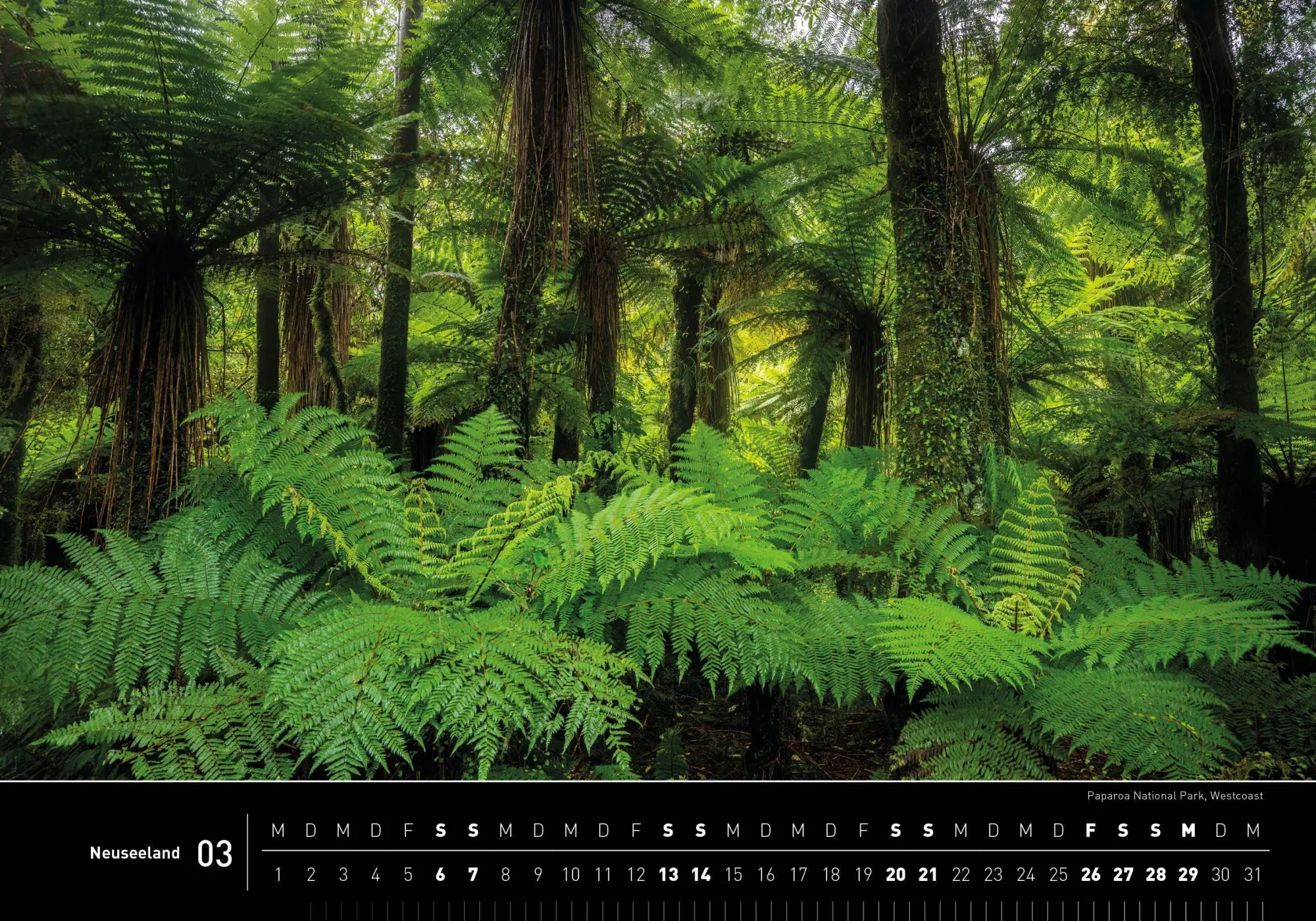 Bild: 9783968556925 | Neuseeland Premiumkalender 2027 | Robert Haasmann | Kalender | 14 S.
