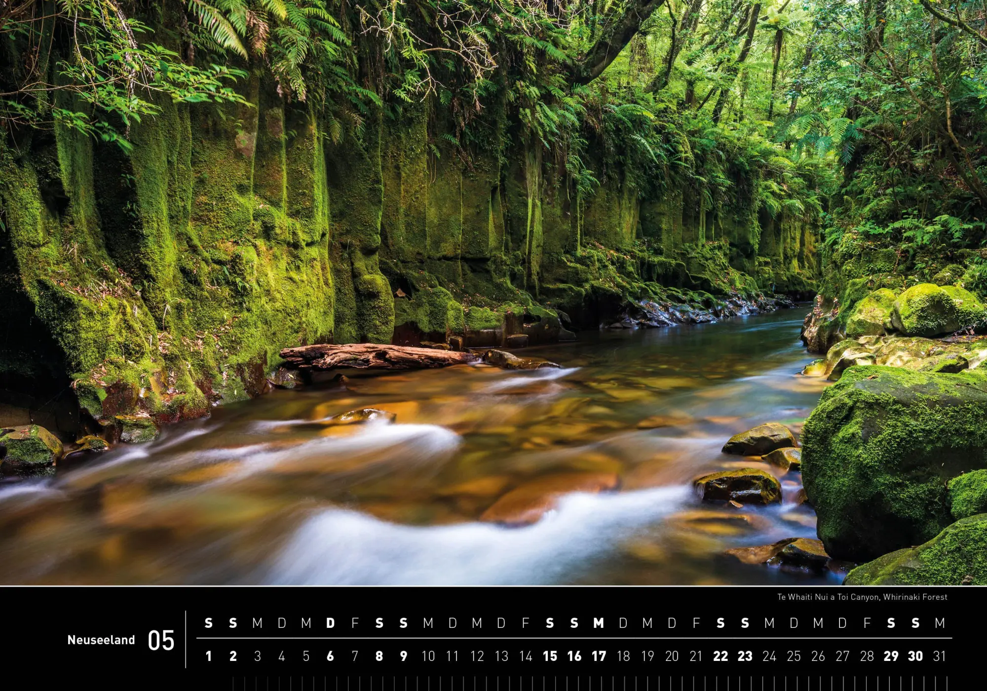 Bild: 9783968556925 | Neuseeland Premiumkalender 2027 | Robert Haasmann | Kalender | 14 S.