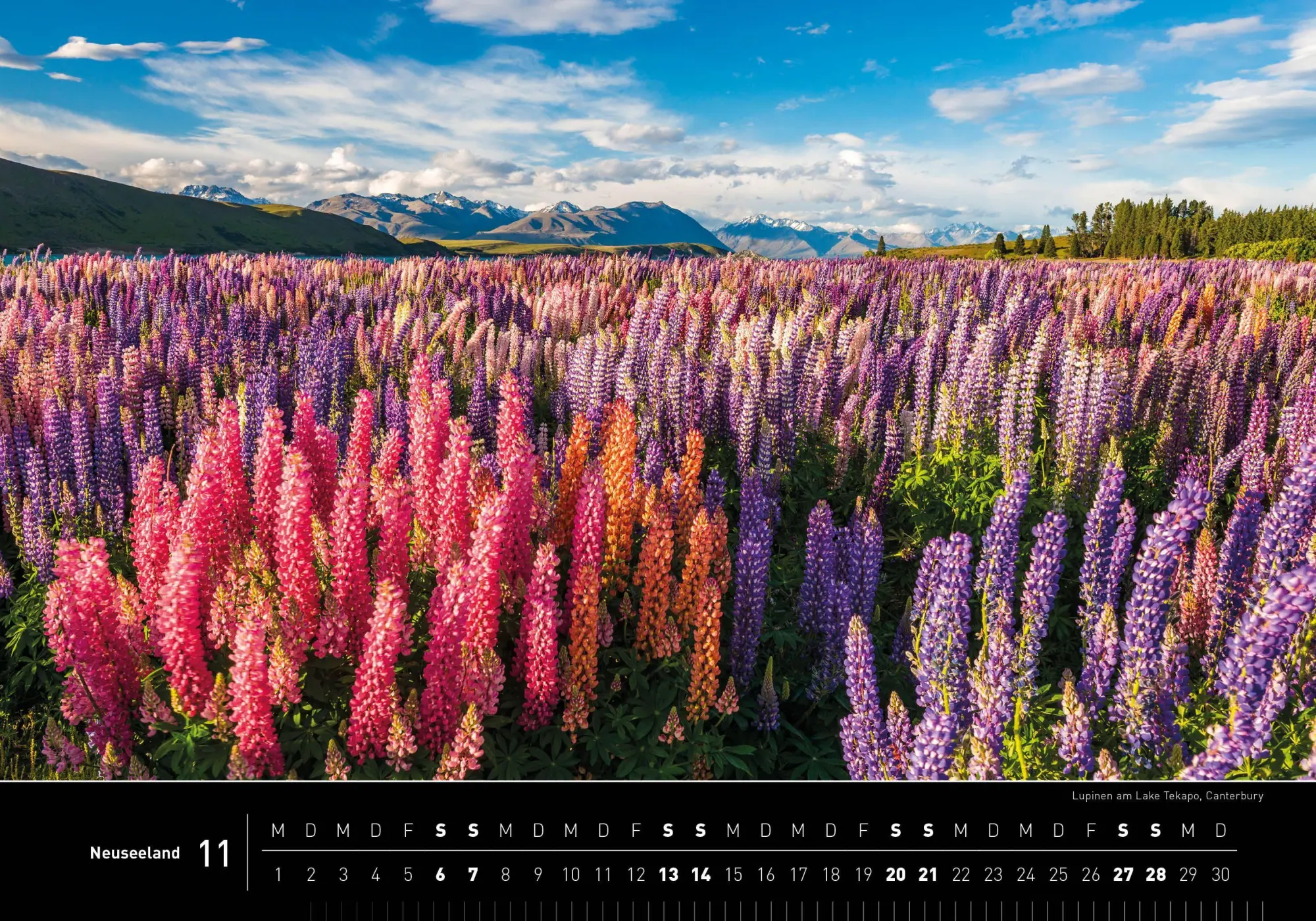 Bild: 9783968556925 | Neuseeland Premiumkalender 2027 | Robert Haasmann | Kalender | 14 S.