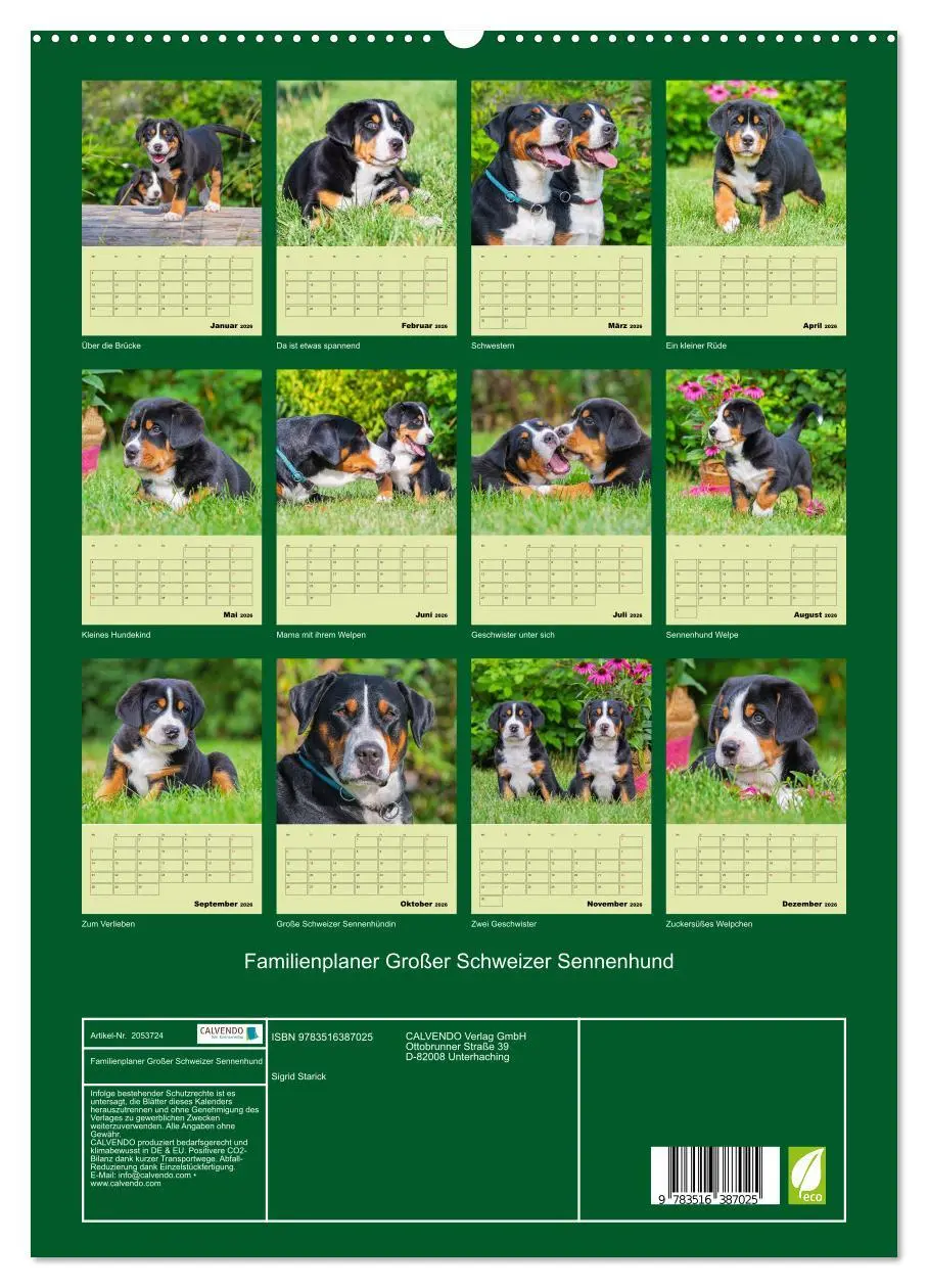 Bild: 9783516387025 | Familienplaner Großer Schweizer Sennenhund (hochwertiger Premium...