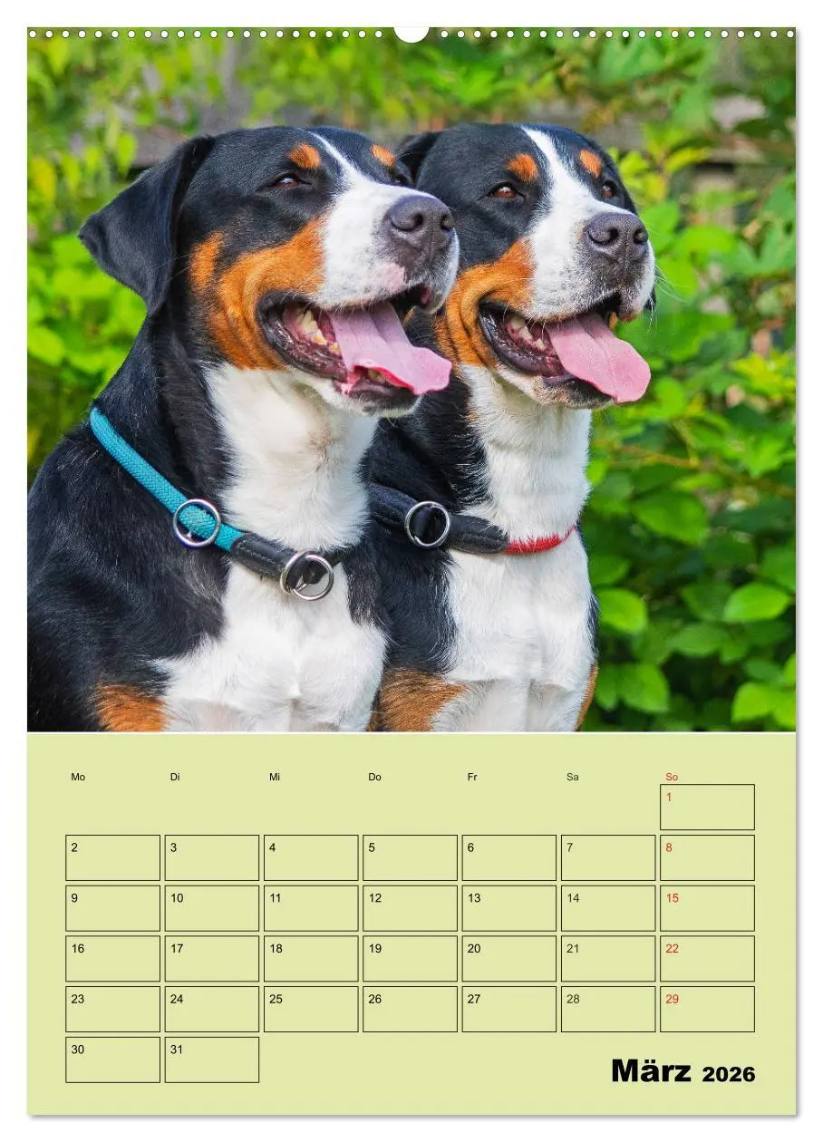 Bild: 9783516387025 | Familienplaner Großer Schweizer Sennenhund (hochwertiger Premium...