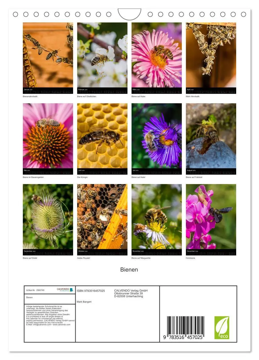 Bild: 9783516457025 | Bienen (Wandkalender 2026 DIN A4 hoch), CALVENDO Monatskalender | 2026