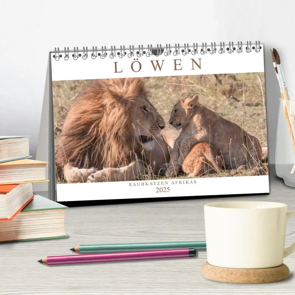 Bild: 9783435717125 | Löwen - Raubkatzen Afrikas (Tischkalender 2025 DIN A5 quer),...