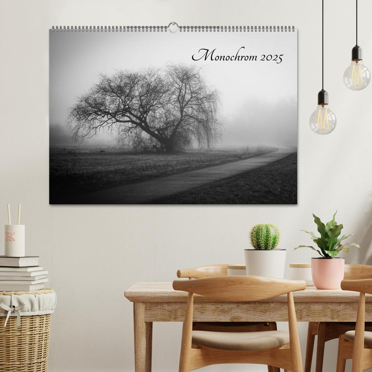 Bild: 9783435567225 | Monochrom 2025 (Wandkalender 2025 DIN A2 quer), CALVENDO...