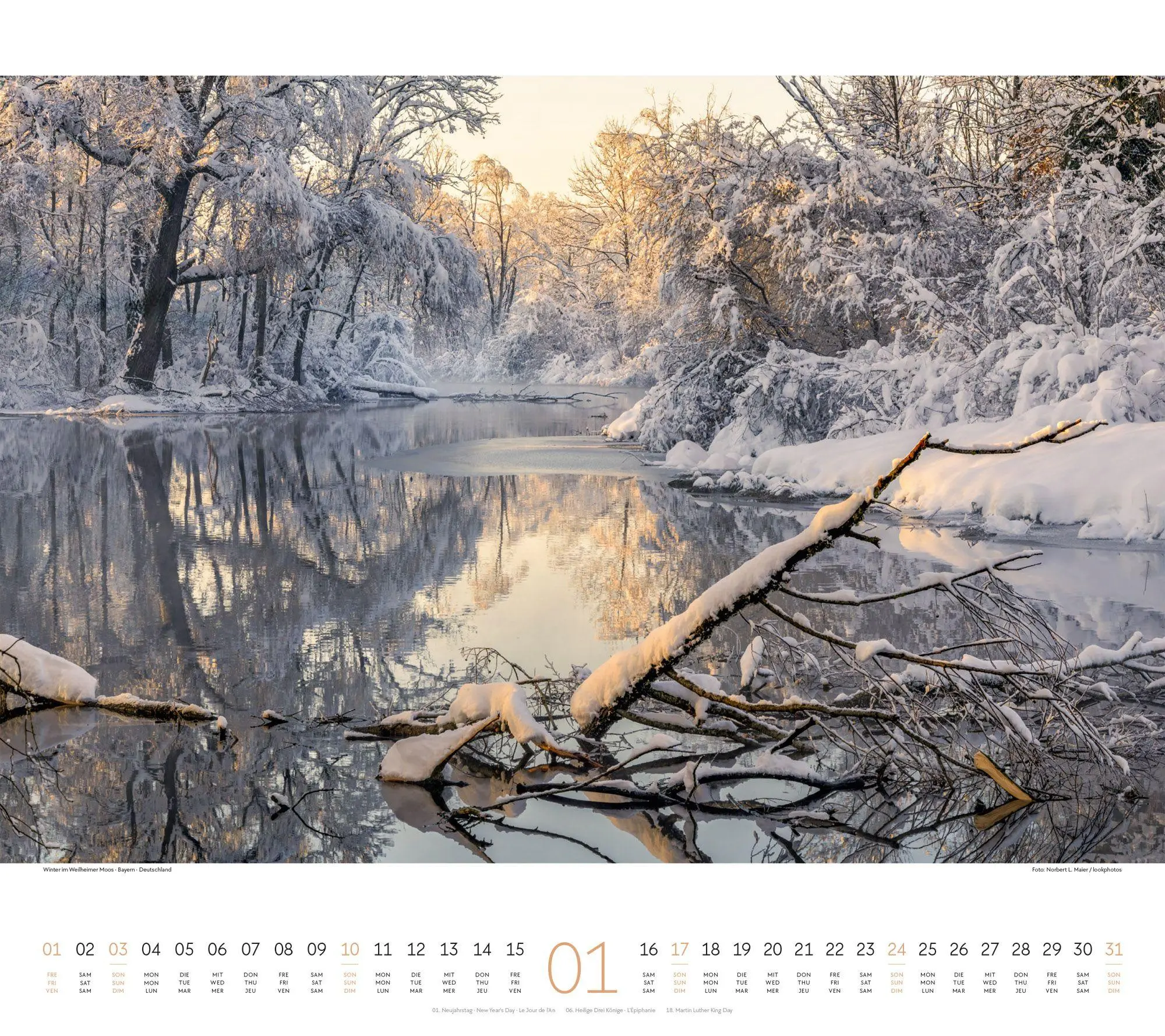 Bild: 9783838427225 | Wald Kalender 2027 | Ackermann Kunstverlag GmbH | Kalender | 14 S.