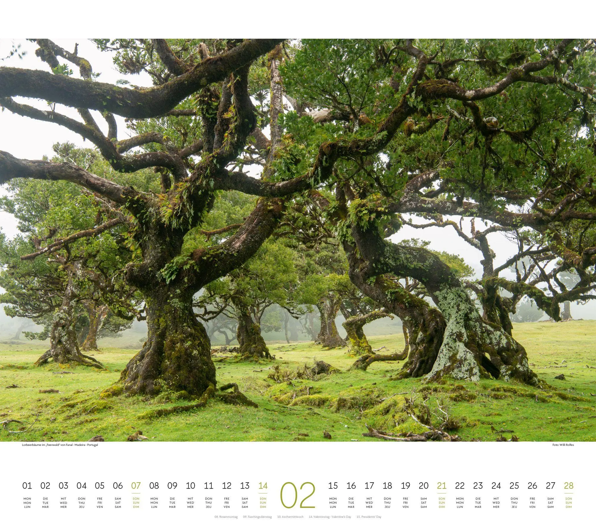 Bild: 9783838427225 | Wald Kalender 2027 | Ackermann Kunstverlag GmbH | Kalender | 14 S.