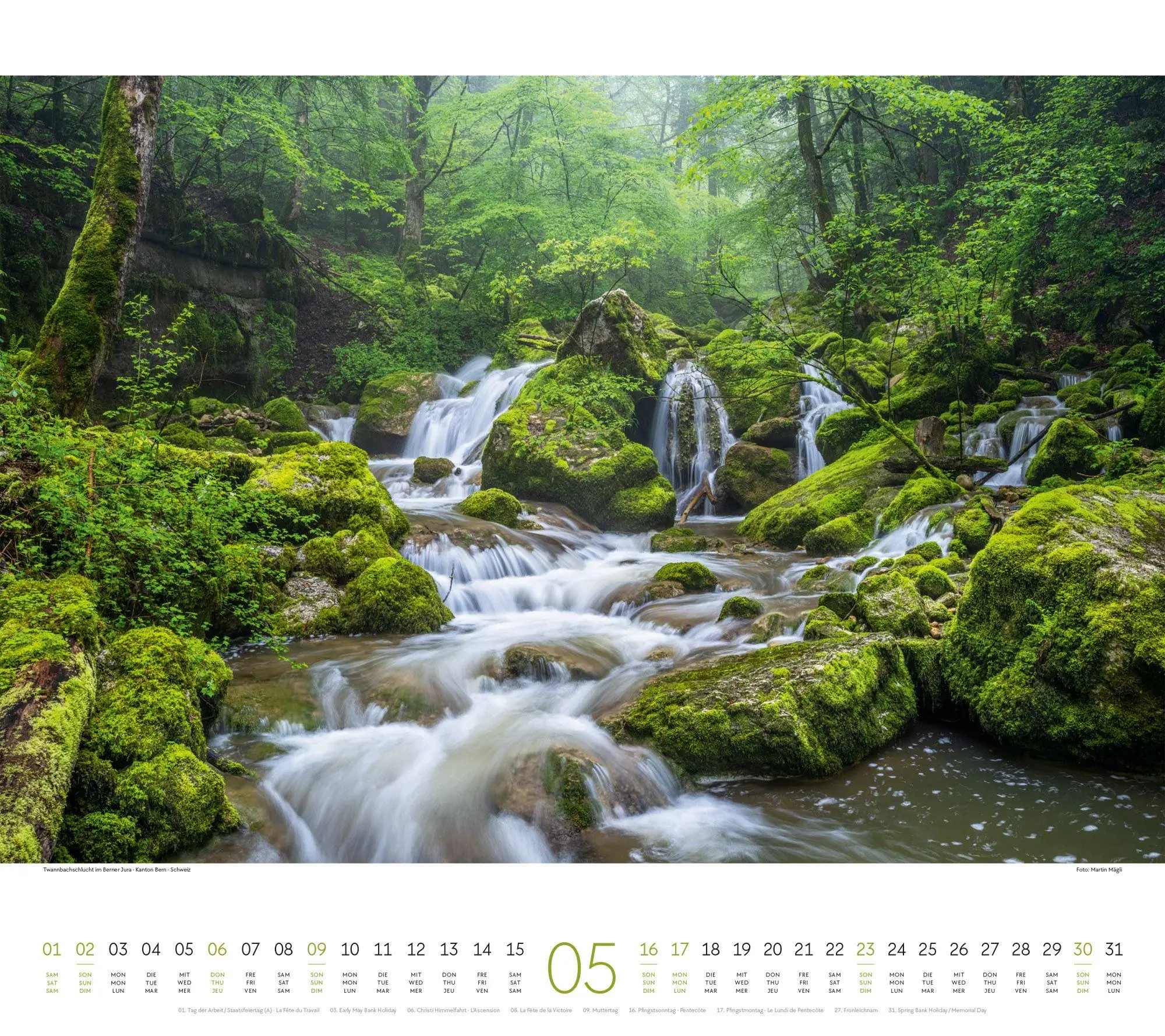 Bild: 9783838427225 | Wald Kalender 2027 | Ackermann Kunstverlag GmbH | Kalender | 14 S.