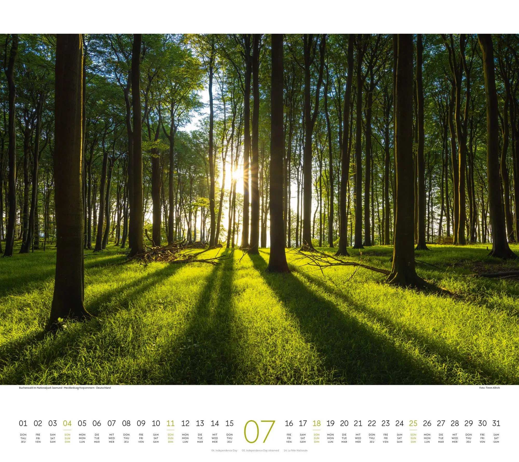 Bild: 9783838427225 | Wald Kalender 2027 | Ackermann Kunstverlag GmbH | Kalender | 14 S.