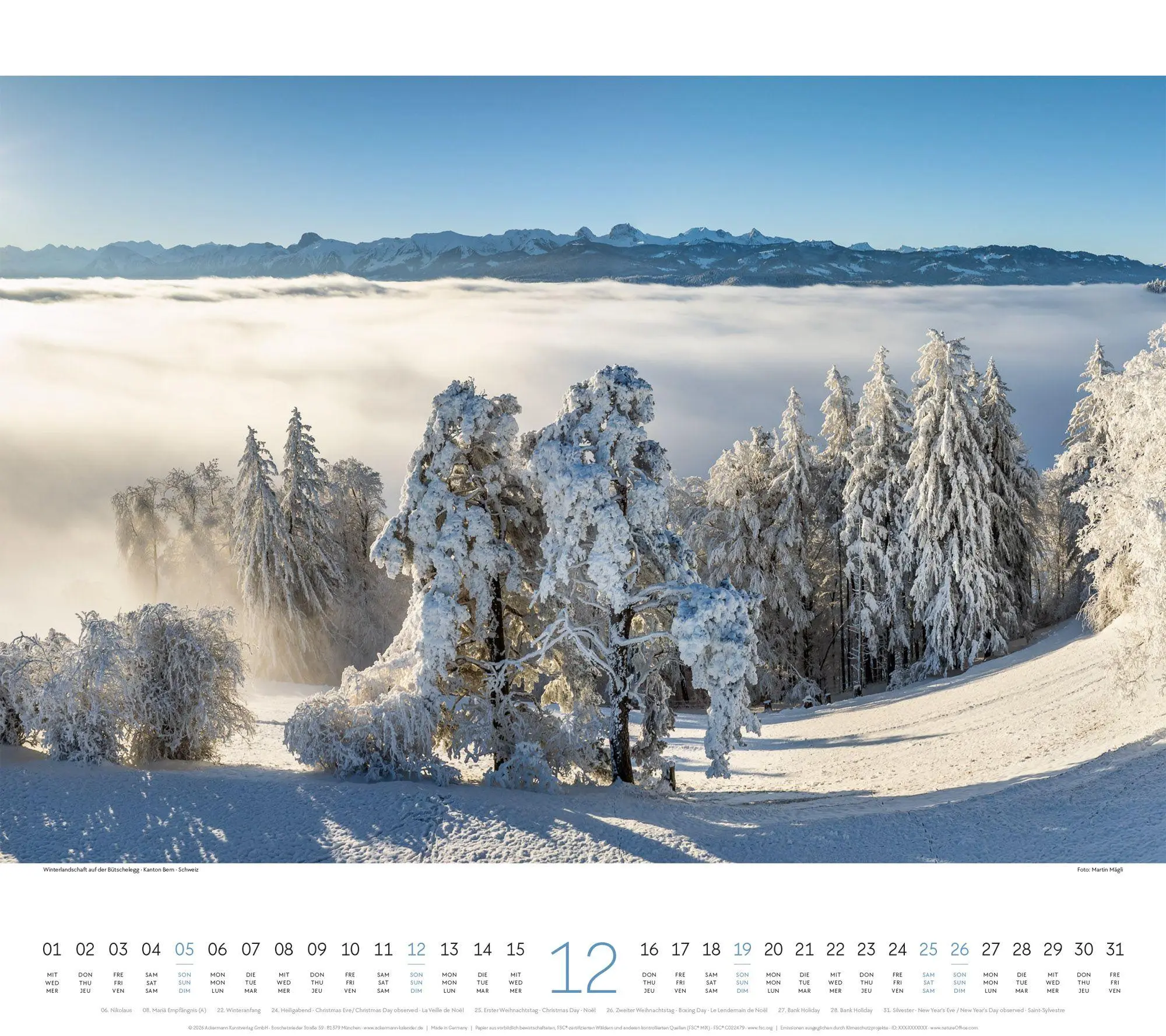 Bild: 9783838427225 | Wald Kalender 2027 | Ackermann Kunstverlag GmbH | Kalender | 14 S.