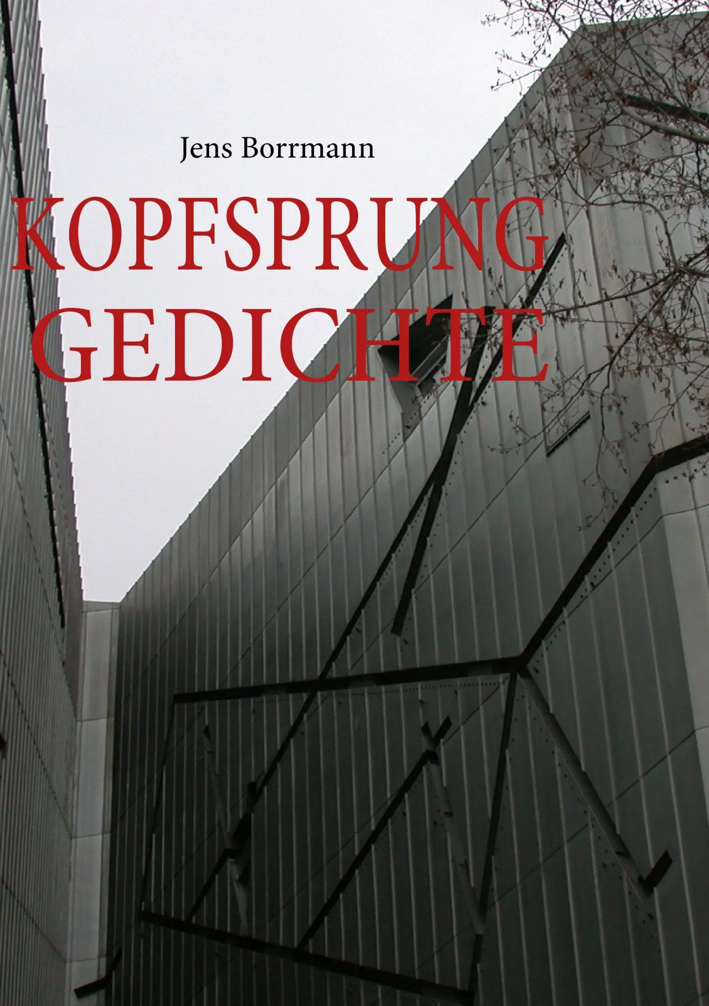 Cover: 9783839107225 | KOPFSPRUNG | Jens Borrmann | Taschenbuch | 128 S. | Deutsch | 2009
