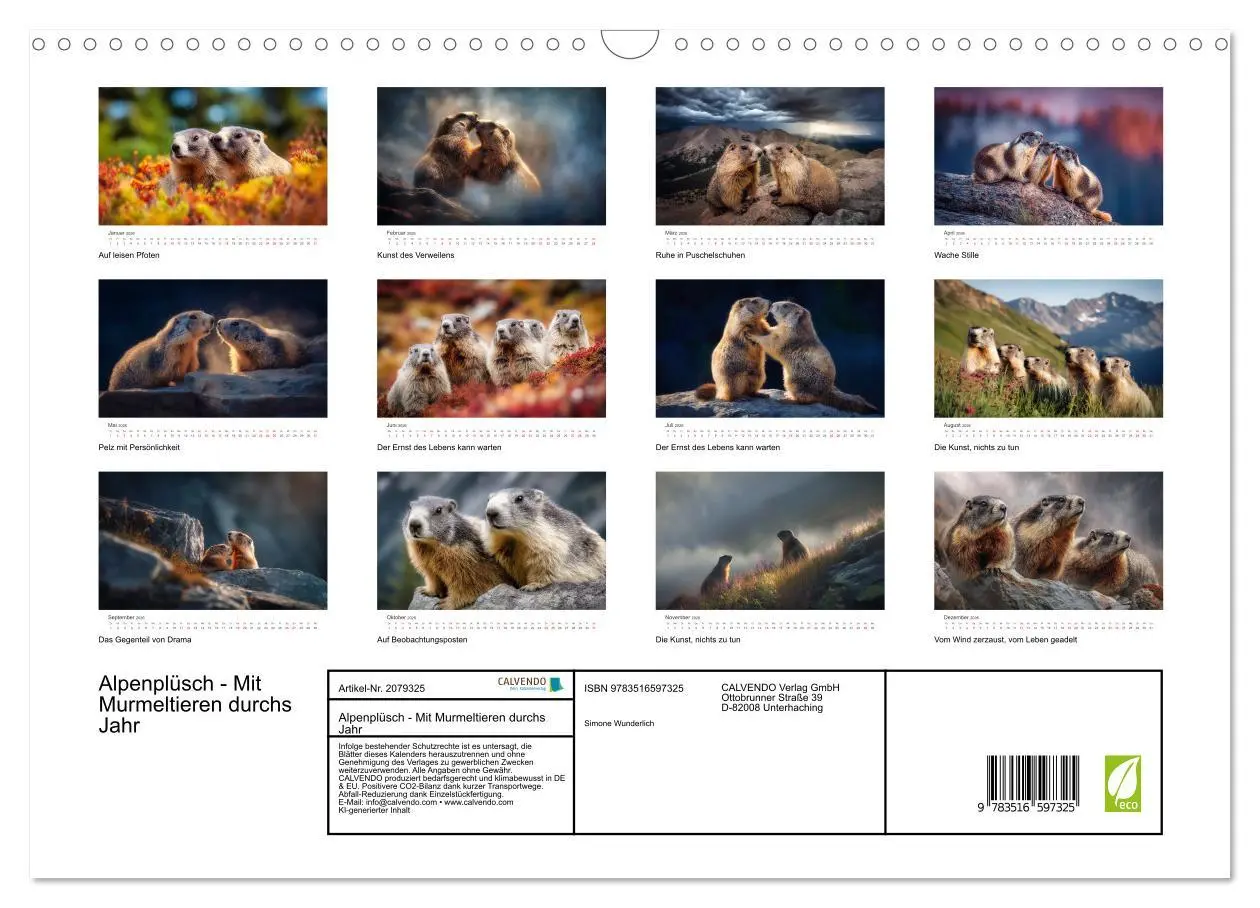 Bild: 9783516597325 | Alpenplüsch - Mit Murmeltieren durchs Jahr (Wandkalender 2026 DIN...