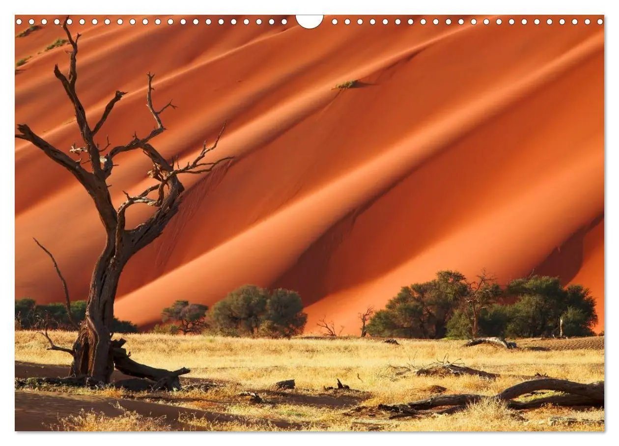 Bild: 9783435617425 | Namib Naukluft Nationalpark. NAMIBIA 2025 (Wandkalender 2025 DIN A3...