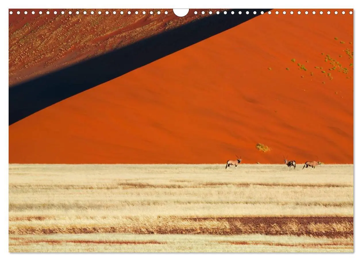 Bild: 9783435617425 | Namib Naukluft Nationalpark. NAMIBIA 2025 (Wandkalender 2025 DIN A3...
