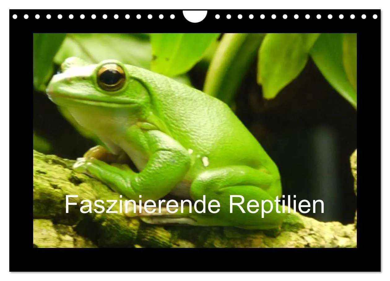 Cover: 9783516197525 | Faszinierende Reptilien (Wandkalender 2026 DIN A4 quer), CALVENDO...