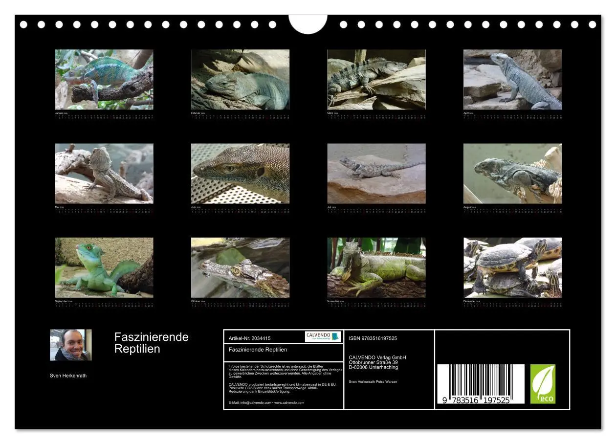 Bild: 9783516197525 | Faszinierende Reptilien (Wandkalender 2026 DIN A4 quer), CALVENDO...