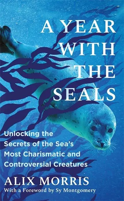 Cover: 9781785127625 | A Year with the Seals | Alix Morris | Buch | Englisch | 2025