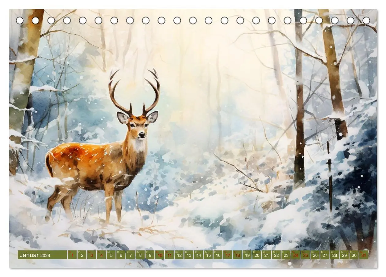 Bild: 9783457477625 | Zwölf Monate im Wald (Tischkalender 2026 DIN A5 quer), CALVENDO...