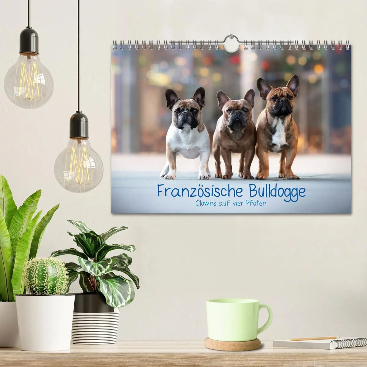 Bild: 9783457787625 | Französische Bulldogge - Clowns auf vier Pfoten (Wandkalender 2026...