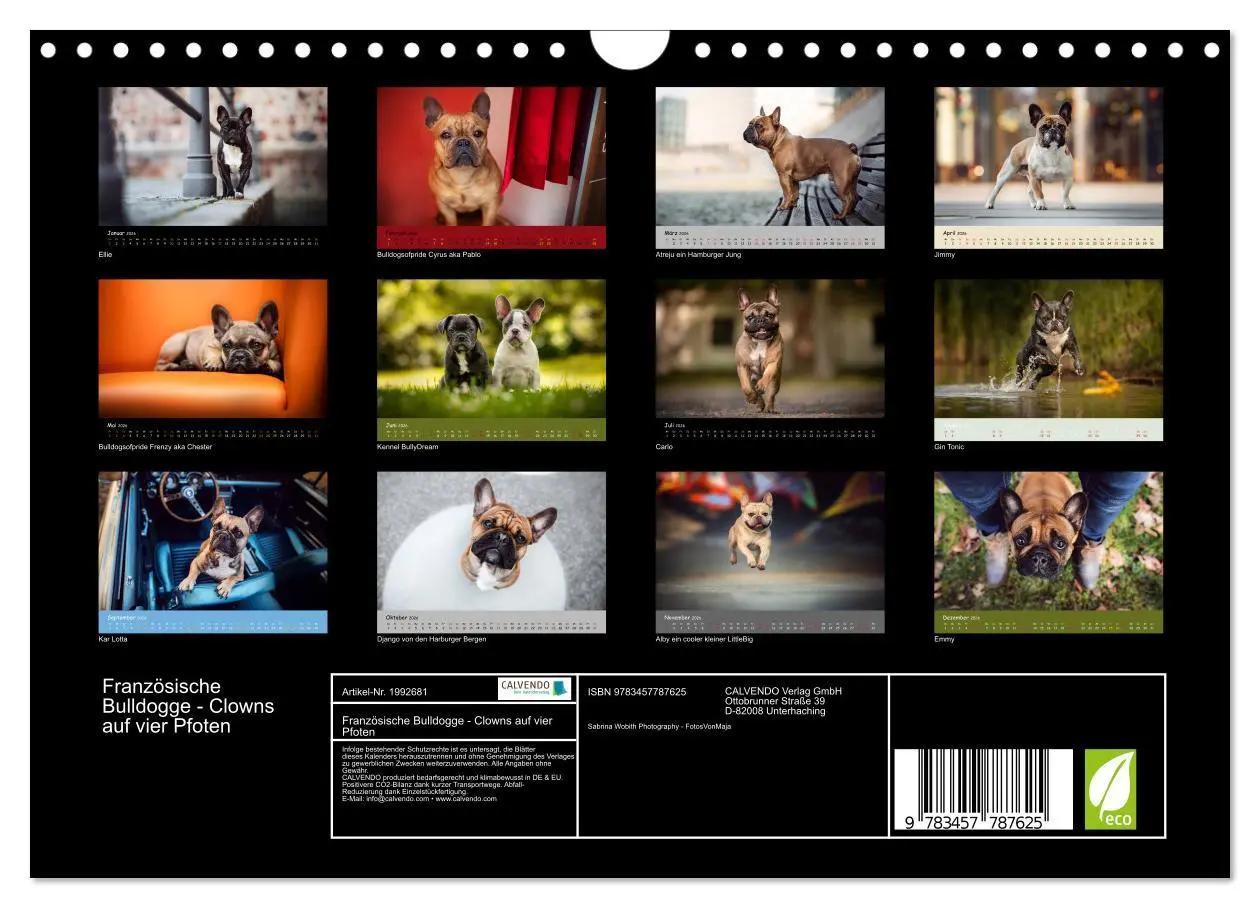 Bild: 9783457787625 | Französische Bulldogge - Clowns auf vier Pfoten (Wandkalender 2026...