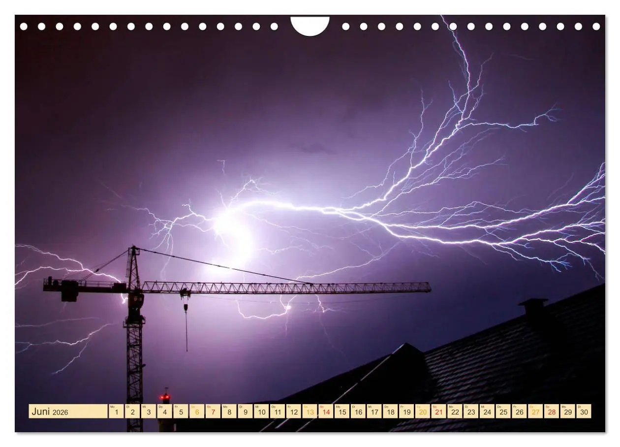Bild: 9783457927625 | Krane - bärenstarke Arbeitstiere (Wandkalender 2026 DIN A4 quer),...