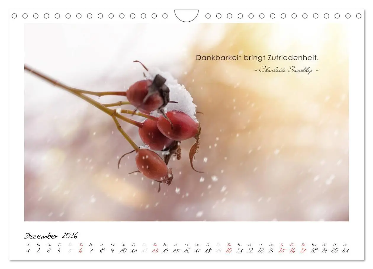 Bild: 9783516017625 | Mit guten Gedanken durch das Jahr (Wandkalender 2026 DIN A4 quer),...