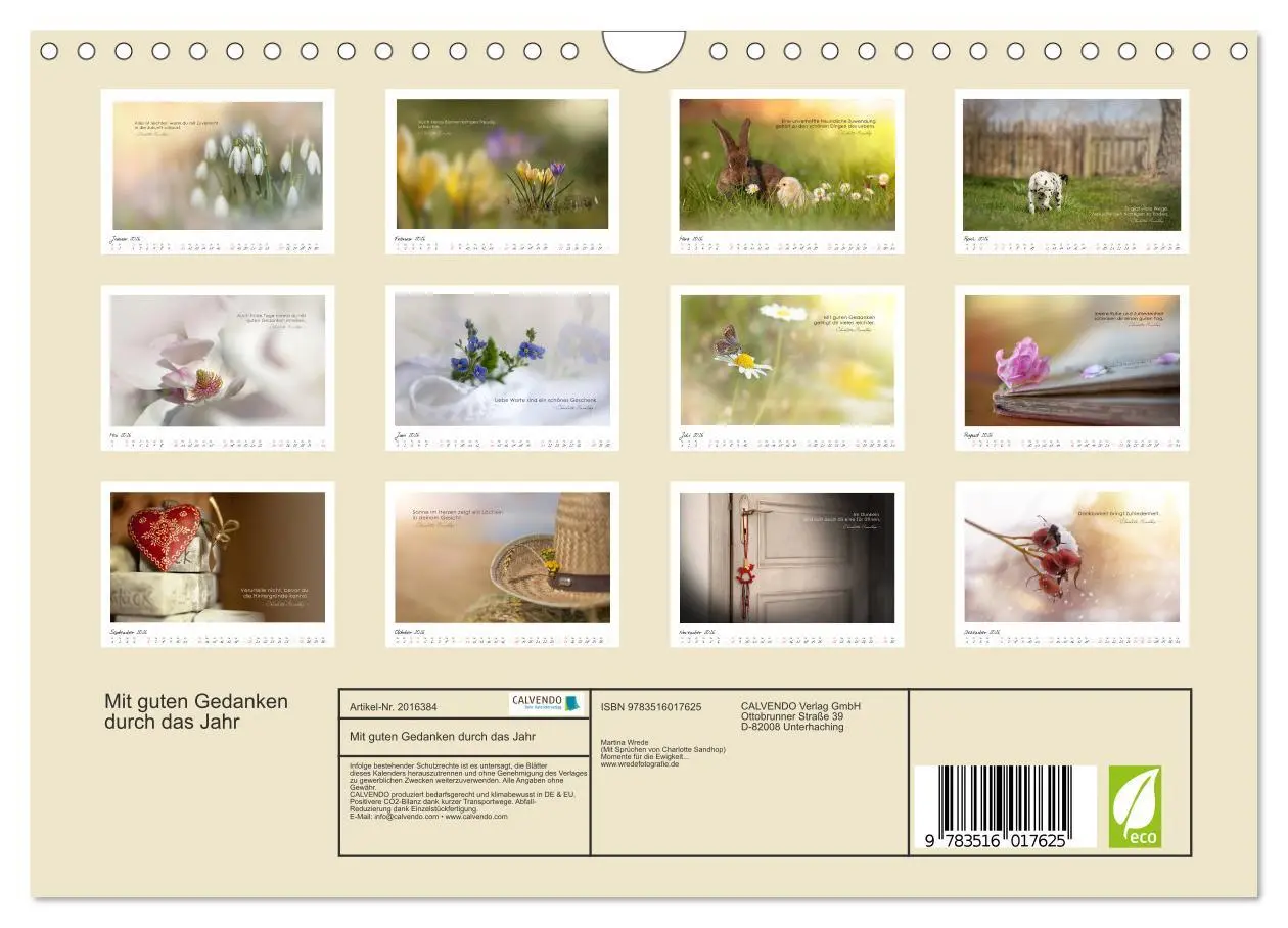 Bild: 9783516017625 | Mit guten Gedanken durch das Jahr (Wandkalender 2026 DIN A4 quer),...